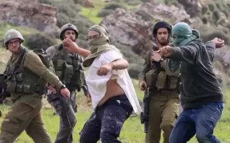 مذكرة قانونية تطلب من المدعي العام الدولي فتح تحقيق في جرائم الاحتلال بالضفة