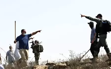 مستوطنون يهاجمون قصرة جنوب نابلس ويصيبون اثنين من المتضامين الأجانب