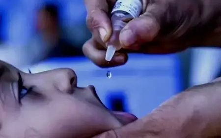 أكثر من 2 مليون غزي نازح يعيشون تحت ظروف قاسية