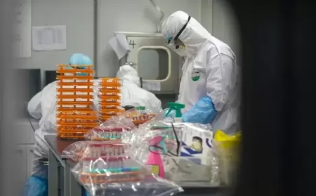 "ديلي ميل" تفجر مفاجأة.. فيروس قاتل آخر ربما تسرب من مختبر ووهان الصيني