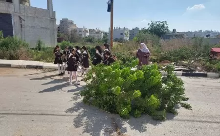 تحت شعار يداً بيد ولنا الغد "تربية طولكرم" تطلق حملة العمل التطوعي للتحضير لافتتاح العام الدراسي الجديد