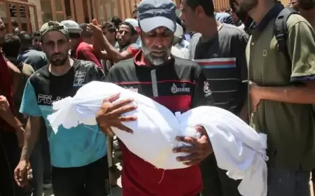 في اليوم 342.. شهداء وجرحى جراء استمرار حرب الإبادة على قطاع غزة