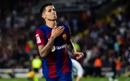 بدايات كانسيلو تنتهي بـ "الفوز"