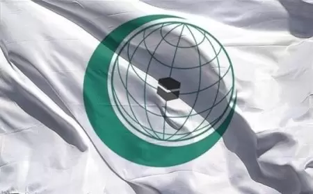 التعاون الإسلامي تدين استهداف الاحتلال للنازحين والعاملين بمدارس "الأونروا"