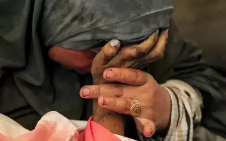 أكثر من 41 ألفًا استشهدوا بغزة