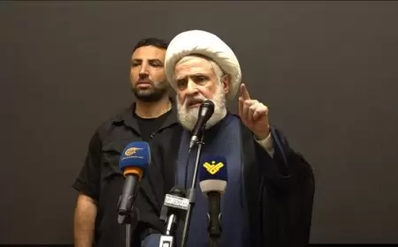 نائب نصر الله: لا طريق لعودة المستوطنين إلى الشمال إلا بإيقاف الحرب على غزة