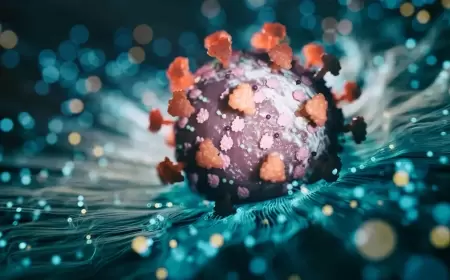 "XEC" سريع الانتشار.. متحور جديد من كورونا يثير القلق