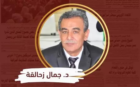 زيارة بلينكن لإسرائيل: بين العمليات العسكرية والانتخابات الأمريكية