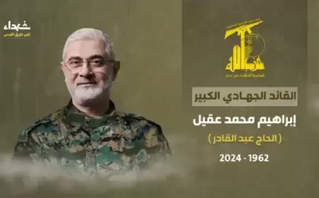 حزب الله ينعى قائدا و13 عسكريا وإسرائيل اتخذت قرار الاغتيال بوقت قصير