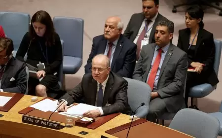 مصطفى: مجلس الأمن لم يلجم حتى الآن العدوان الإسرائيلي