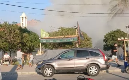 العدوان الإسرائيلي على لبنان: 33 شهيدا و195 جريحا يوم السبت