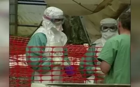 الخفافيش مجددا.. ارتفاع الوفيات جراء فيروس ماربورغ في رواندا