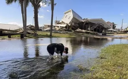 الولايات المتحدة: ارتفاع حصيلة قتلى إعصار "هيلين" لـ64