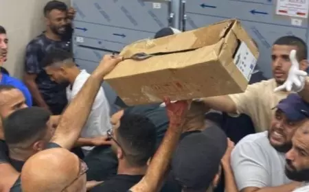 فتوح يدين مجزرة الاحتلال بطولكرم ويدعو لمحاسبة قادة الاحتلال على جرائمهم المتواصلة
