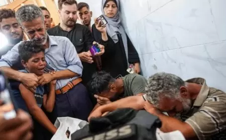 مجزرتان- الاحتلال يقصف مسجد ومدرسة راح ضحيتهما 24 شهيدا حتى الآن