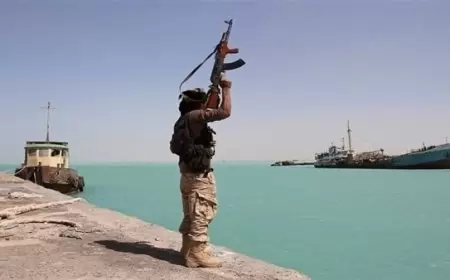 الحوثي: استهدفنا خلال عام 193 سفينة والف صاروخ منذ بداية الحرب