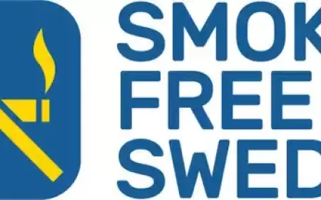 مستقبل خالٍ من الدخان: كيف ألهمت السويد دول العالم باستخدام بدائل النيكوتين؟