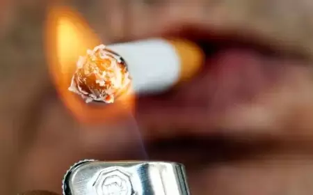 خبراء يؤكدون: السجائر التقليدية سبب رئيسي في زيادة معدلات الوفاة.. والمنتجات الخالية من الدخان أقل خطورة