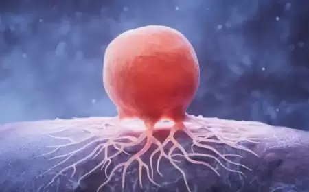 الخلايا السرطانية تستخدم الدهون للاختباء من الجهاز المناعي