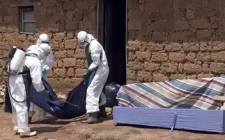 وباء ماربورغ في رواندا.. وفاة 6 أشخاص وإصابة 20 آخرين