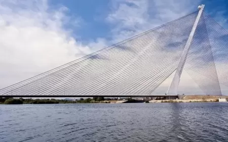 أراد إنشاء محتوى مثير لمواقع التواصل.. فسقط من أعلى جسر وتوفي