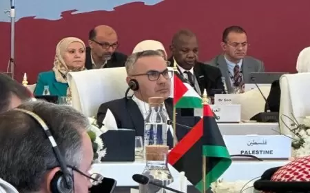 فلسطين تطالب بدعم دولي عاجل للمنظومة الصحية ومنع انهيارها