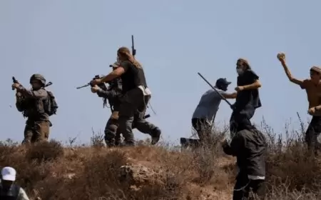 مستعمرون يعتدون على مواطن من أم طوبا ويصيبونه بجروح خطيرة