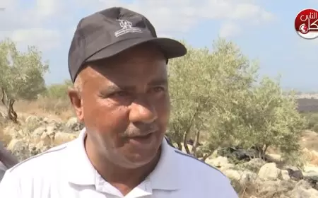 فعالية لقطف ثمار الزيتون في أراضي بلدة كفر اللبد بالتنسيق مع هيئة مقاومة الجدار و زراعة طولكرم و بالتعاون مع بلدية كفر اللبد و مؤسسات وفعاليا ت محافظة طولكرم