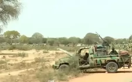 فرار 40 ألف سوداني من دارفور إلى التشاد بعد هجوم قوات الدعم السريع