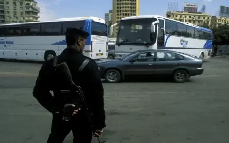 مصر.. ضبط 30 شخصا بحوزتهم نصف طن مخدرات و24 قطعة سلاح