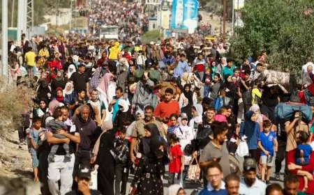 بعد استشهاد السنوار- تقدير موقف: الشعب الفلسطيني يبحث دوما عن الأفضل