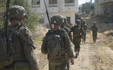 380 يوما للحرب على فلسطين