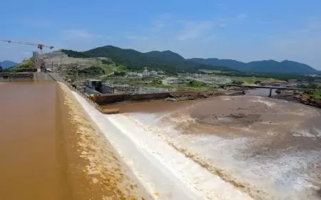 وزير خارجية مصر: التفاوض مع إثيوبيا جرى لأكثر من 13 عاما دون جدوى