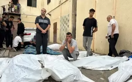 29 شهيدا بينهم أطفال في 5 مجازر جديدة في شمال قطاع غزة