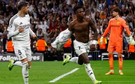 بقيادة فينيسيوس.. ريال مدريد يعاقب دورتموند بـ "ريمونتادا" مثيرة