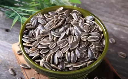 منها الوزن والمناعة.. 8 أسباب ستشجعك على تناول بذور دوار الشمس يوميًا!