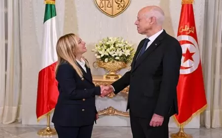 سعيّد لميلوني: تونس تعمل على إعادة المهاجرين غير النظاميين إلى بلدانهم