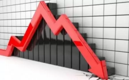 "الإحصاء": انخفاض العجز التجاري بنسبة 16% في آب