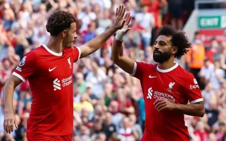 "يمنعنا من استخدام الهواتف".. لاعب ليفربول يكشف أسراراً صادمة عن صلاح