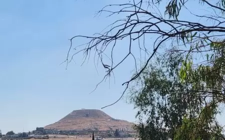 الطقس: ارتفاع طفيف على درجات الحرارة