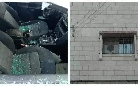 مستوطنون يواصلون اعتداءاتهم على المواطنين وممتلكاتهم