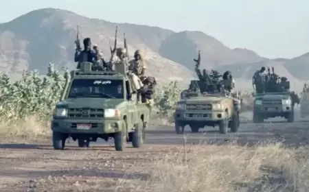 تنديد دولي بجرائم الدعم السريع في ولاية الجزيرة بالسودان