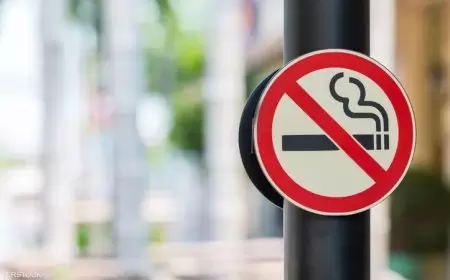 إصلاح وتعديل قانون مكافحة التدخين في إسبانيا فرصة قيمة لتبني سياسة الحد من المخاطر المبتكرة القائمة على نهج الأدلة العلمية