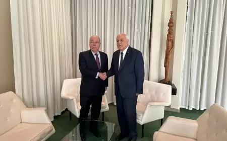 الوزير منصور يطلع وزير الخارجية البرازيلي على آخر التطورات الفلسطينية