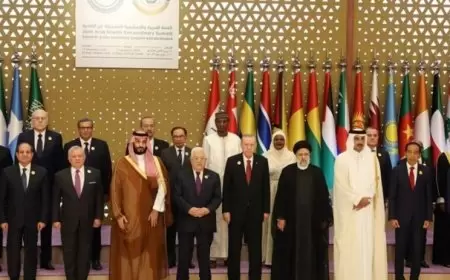 قمة عربية إسلامية مشتركة في نوفمبر لبحث العدوان على غزة ولبنان