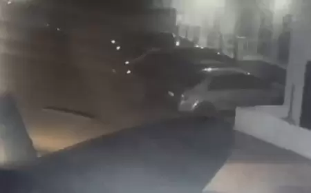 وسائل إعلام لبنانية: القوى الأمنية عثرت في شقة أمهز على نحو 10 شرائح أرقام أجنبية