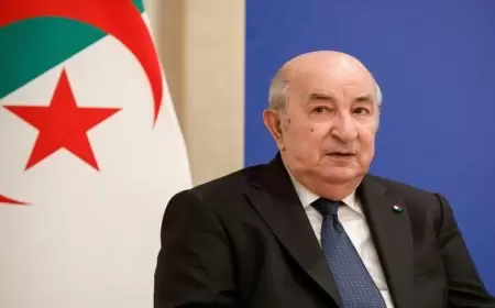 رئيس إيطاليا في رسالة لتبون: الجزائر محور هام وأساسي وسنواصل ترقية آفاق السلام معها لصالح المتوسط