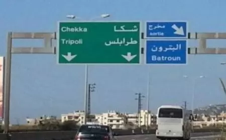 مسؤول عسكري إسرائيلي يكشف معلومات جديدة عن "عملية البترون"