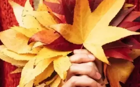 حدد لونك المفضل قبل القراءة.. 8 ألوان تؤثر على علاقاتك وحالتك المزاجية