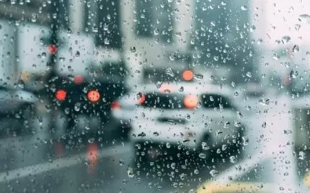 أمطار متفرقة- الطقس: غائم جزئيا وبارد نسبيا